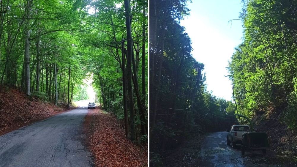 Gap - ouverture d'un layon sur une route de montagne à Savines-le-Lac